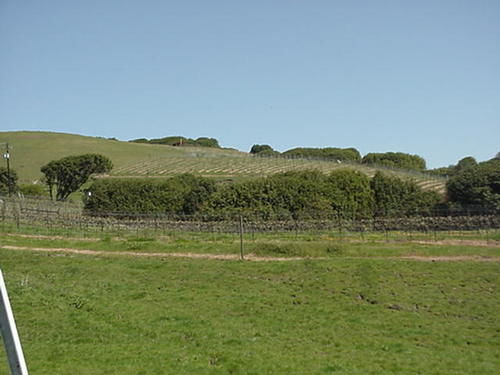 Point Reyes Vineyard Inn California City Exterior foto